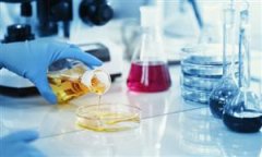 其焦点功能是正在供给美妙饰同时